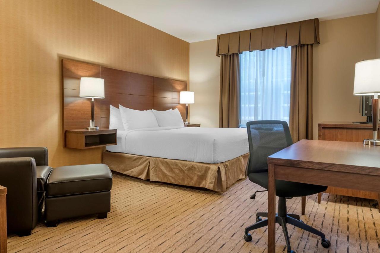 Best Western Plus, Bathurst Hotel & Suites Экстерьер фото